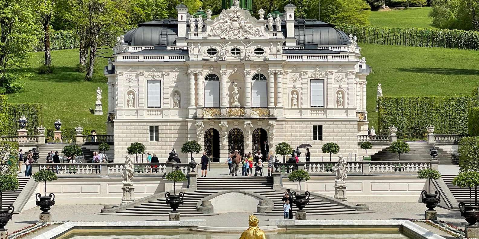Photo d'un voyageur issue d'un avis