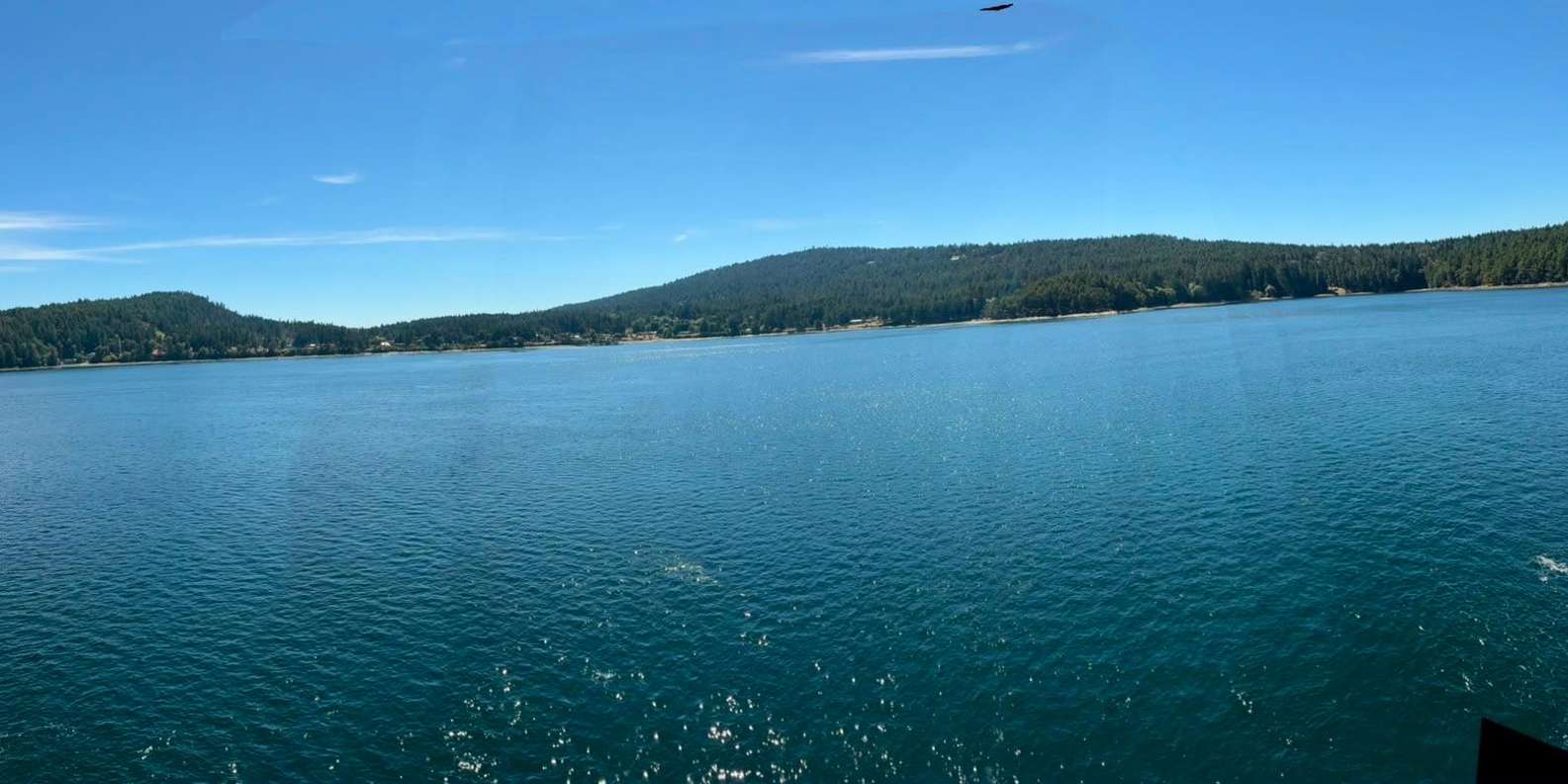 Guest photo from review