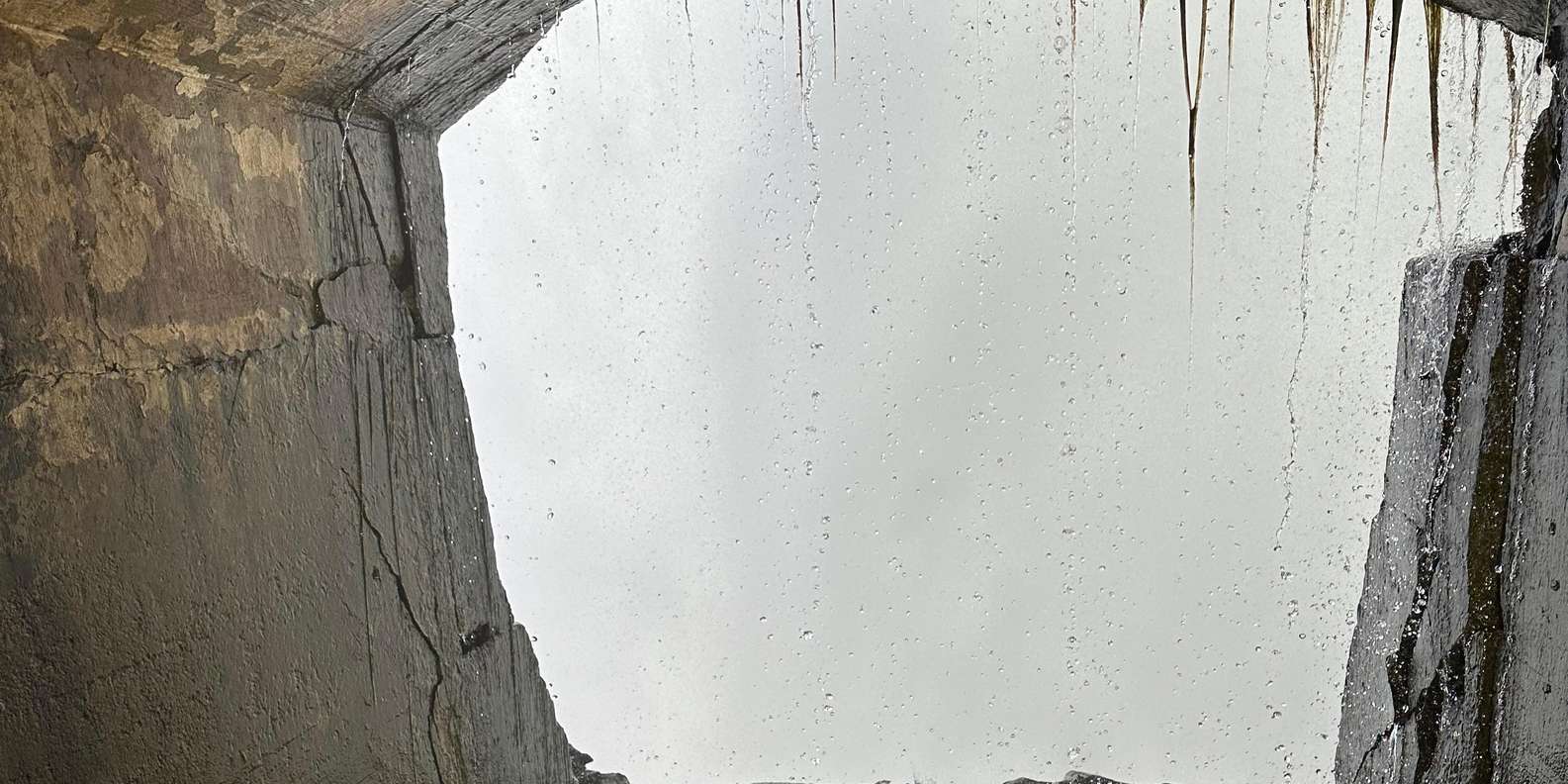 Guest photo from review