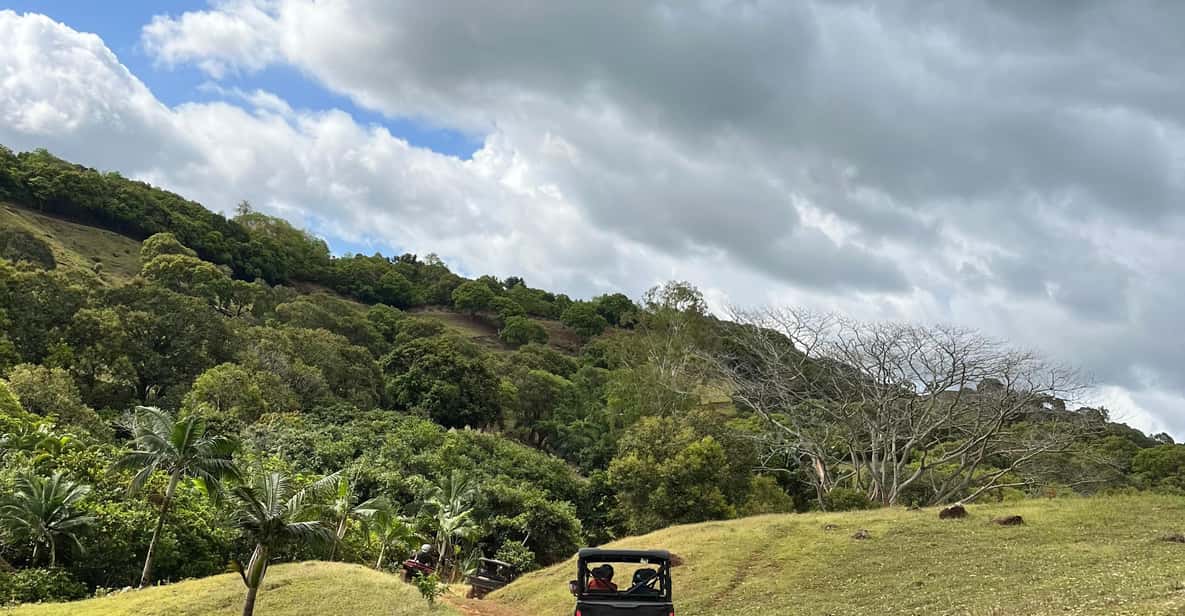 Mauritius: Bel Ombre Nature Reserve Buggy Tour | GetYourGuide