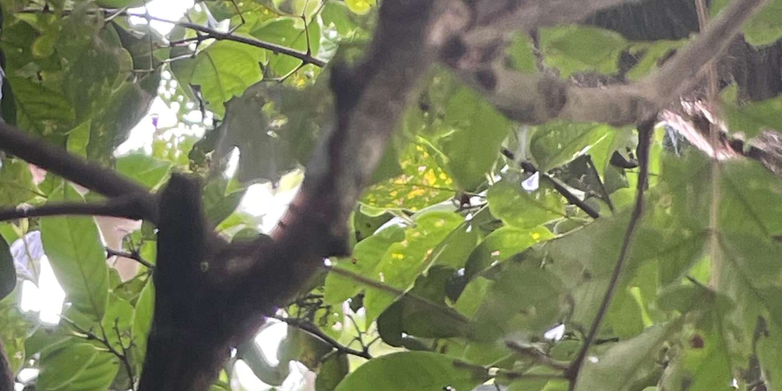 Guest photo from review