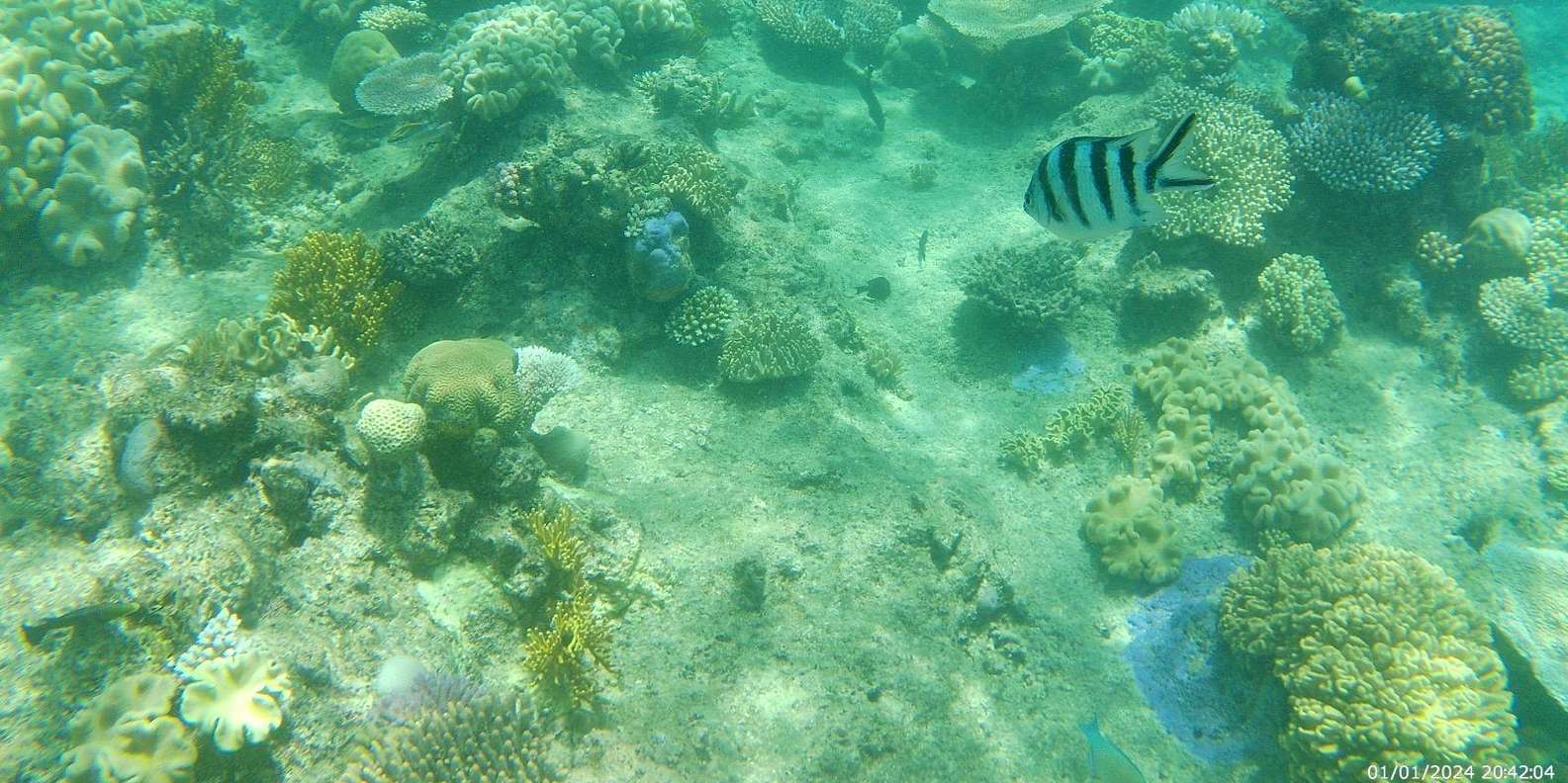 Guest photo from review