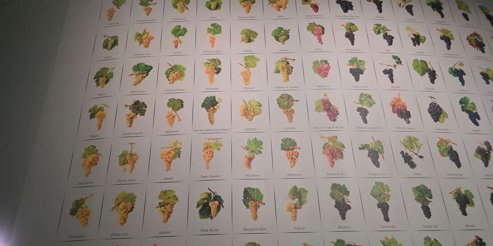Guest photo from review