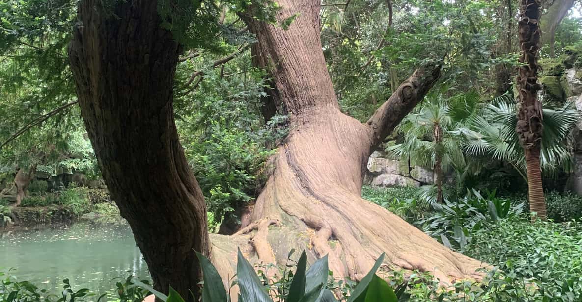 Colagem de mídia