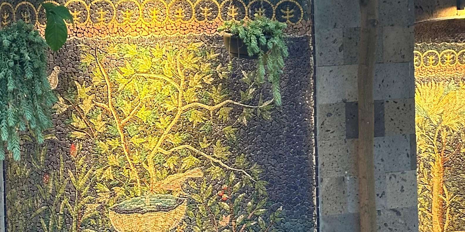 Guest photo from review