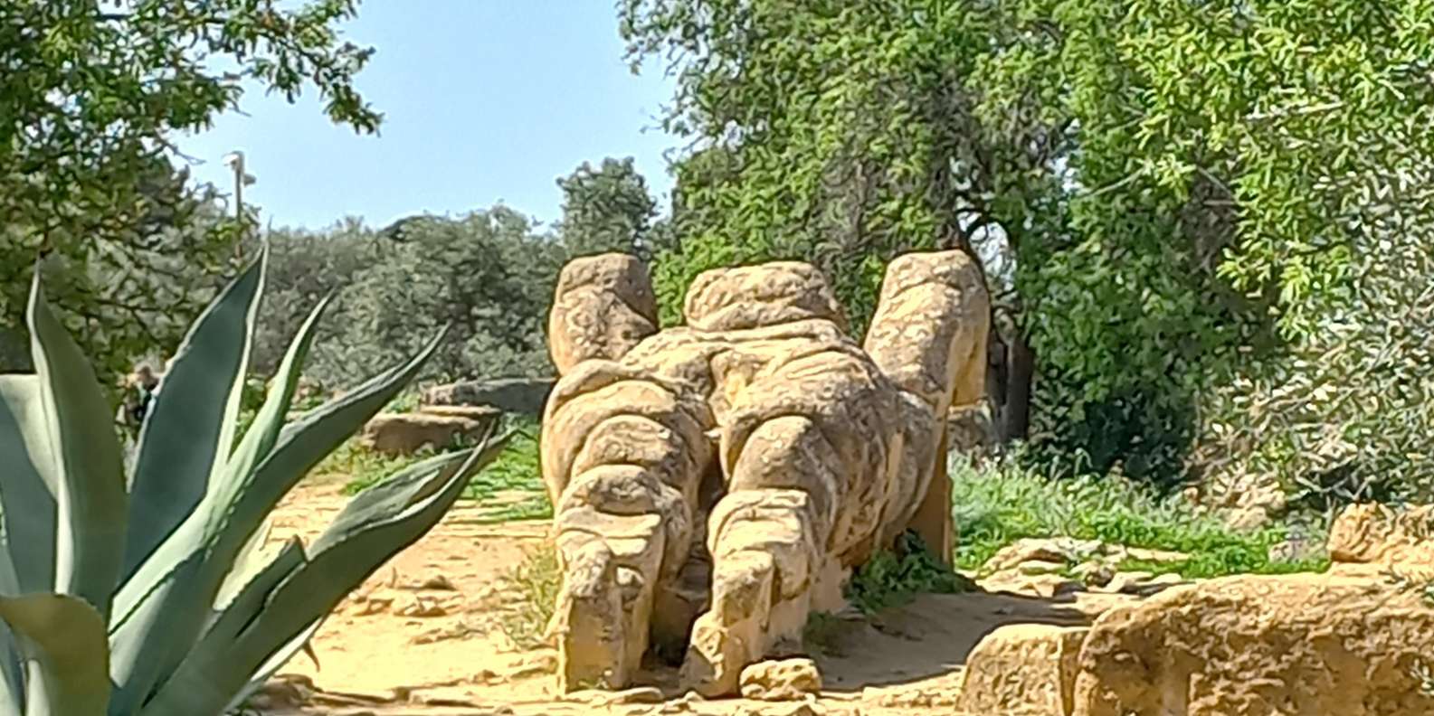 Guest photo from review