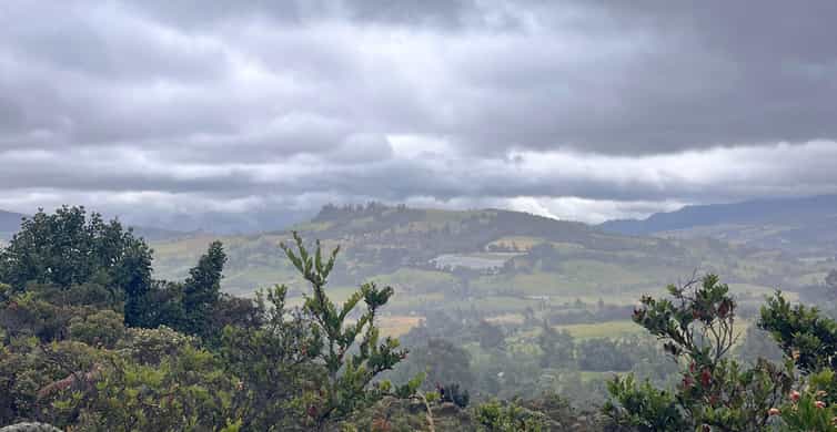 Colagem de mídia