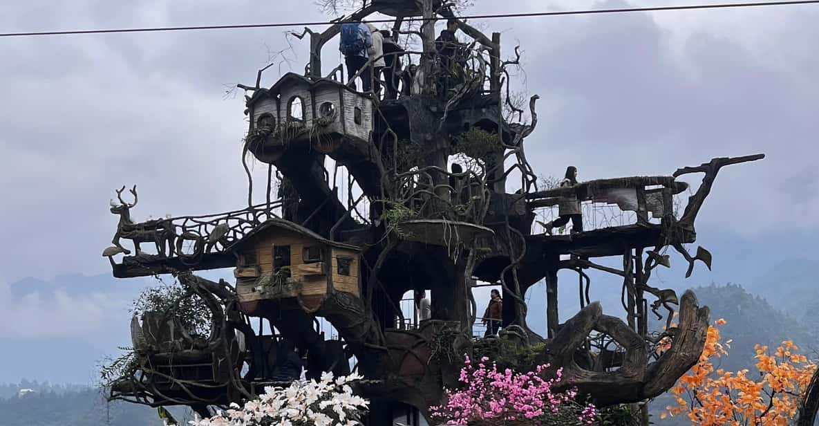 Galería de fotos para redes