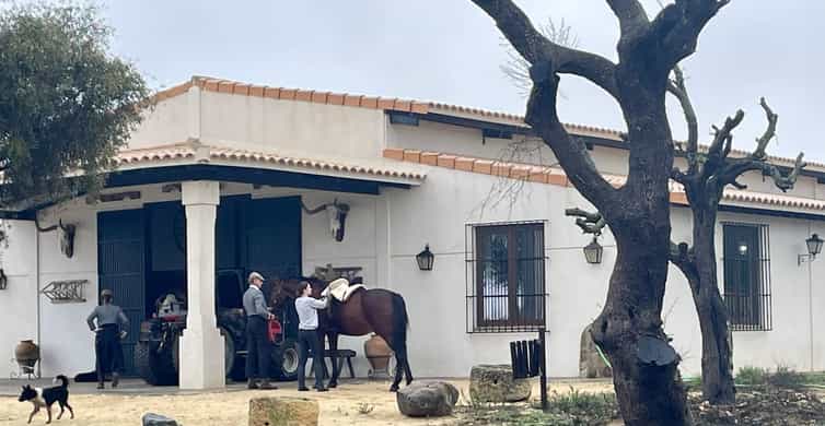 Galería de fotos para redes