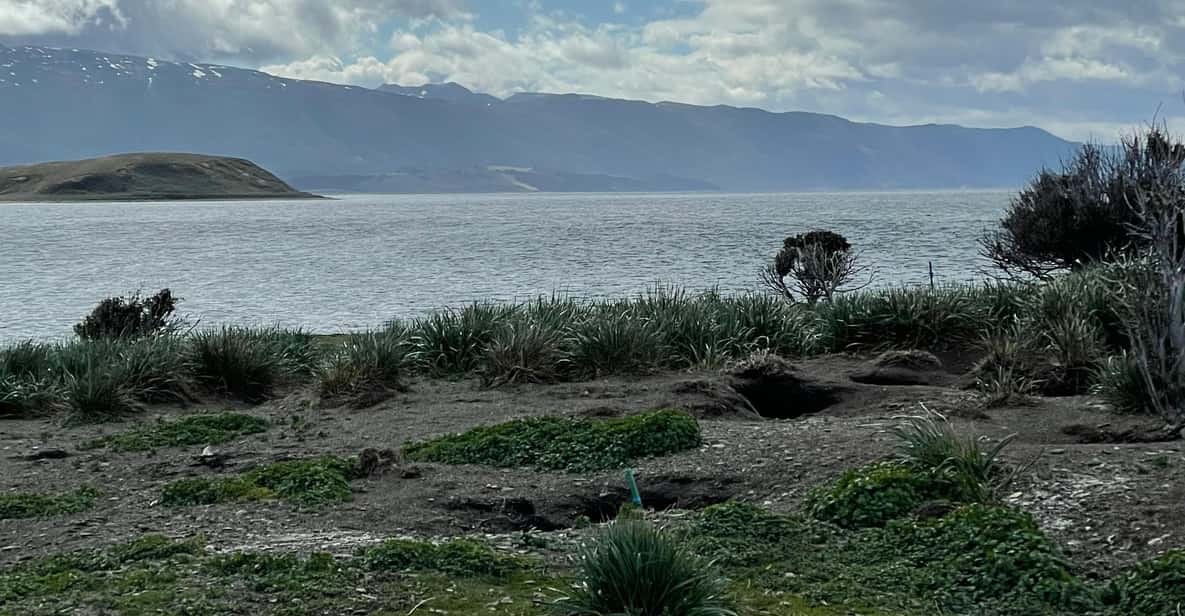 Galería de fotos para redes