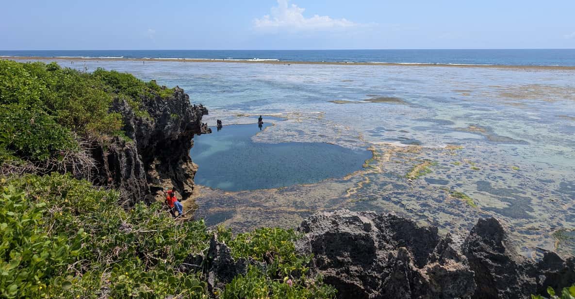 Tiwi Beach: Guided Tour to the African Pool | GetYourGuide