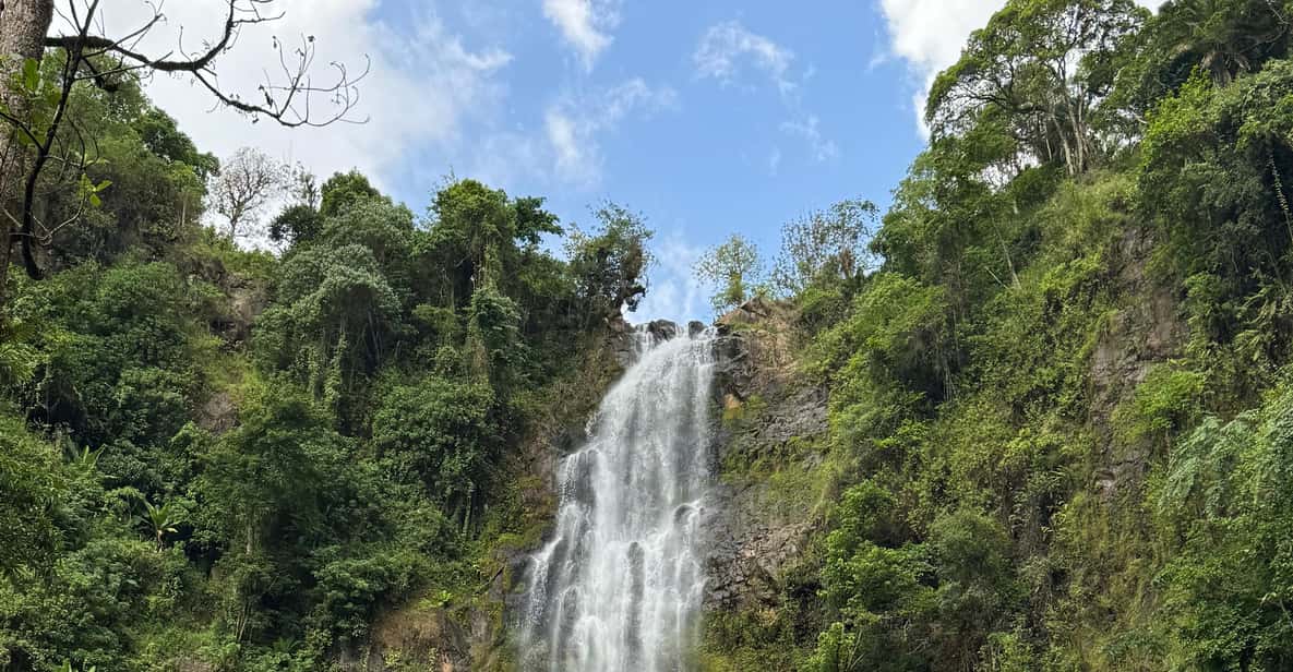 Colagem de mídia