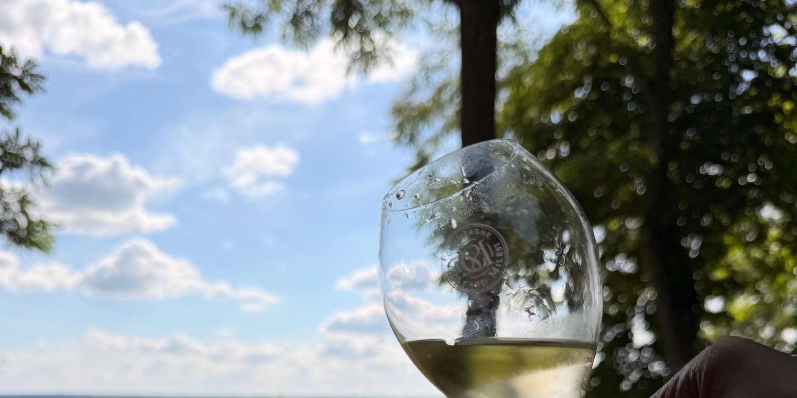 Guest photo from review