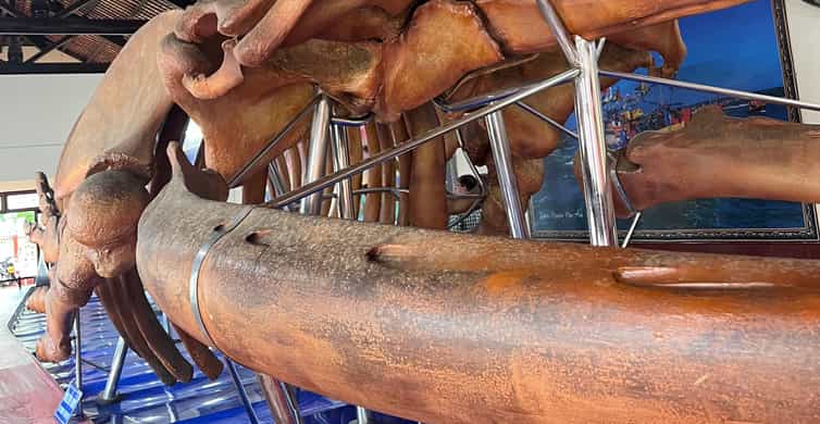 Galería de fotos para redes