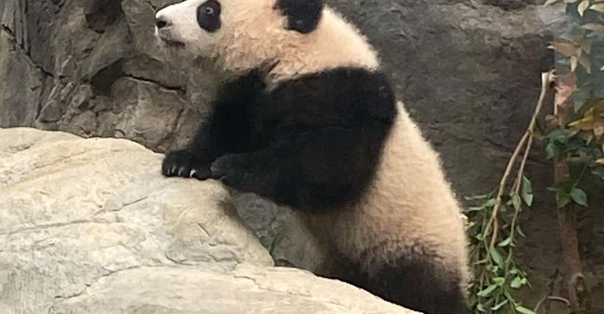 Медиаколлаж
