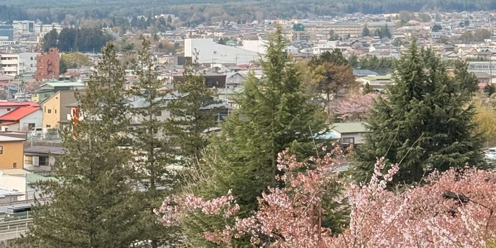 Guest photo from review