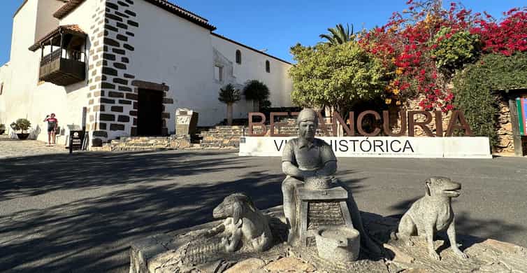 Galería de fotos para redes