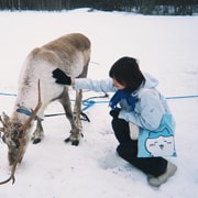 GetYourGuide listing photograph 1: Sámi Reindeer Sledding with Best Arctic with Best Arctic AS