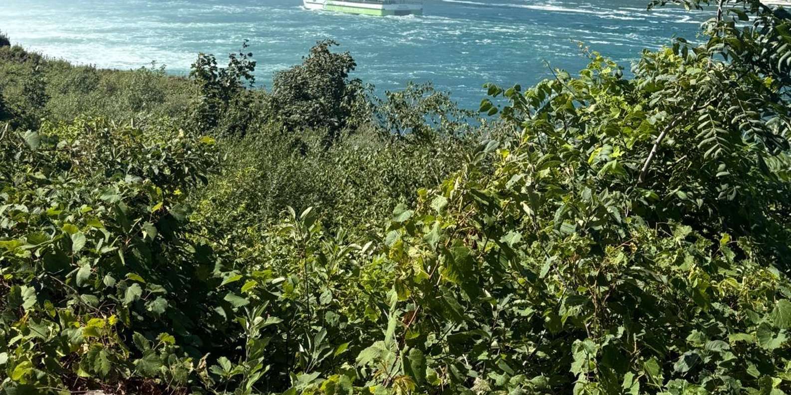 Guest photo from review