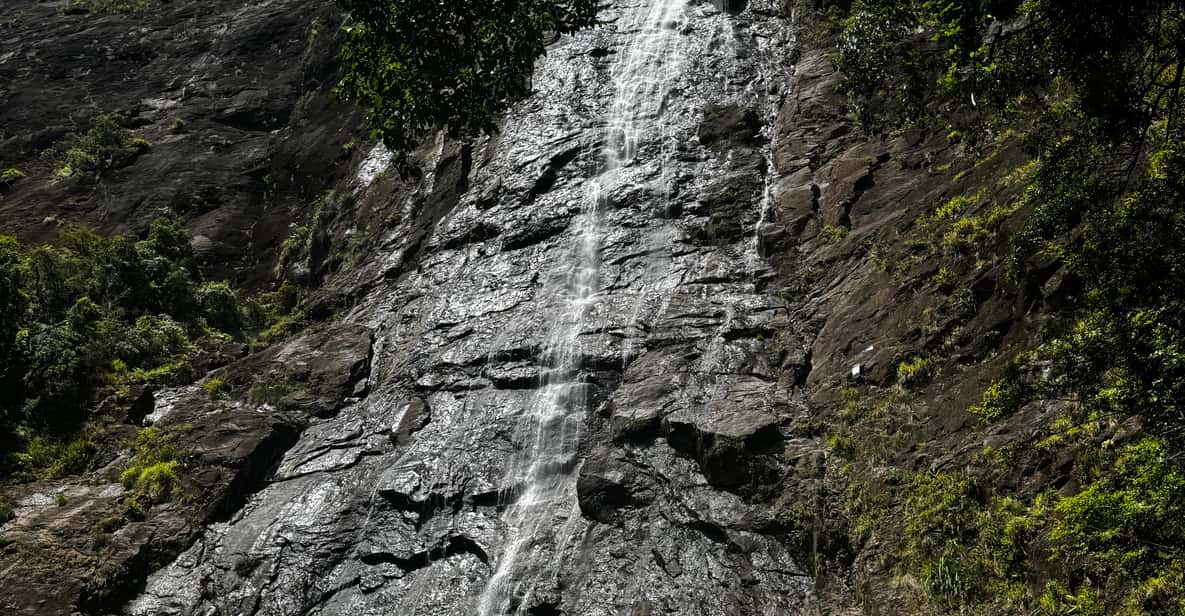 Galería de fotos para redes