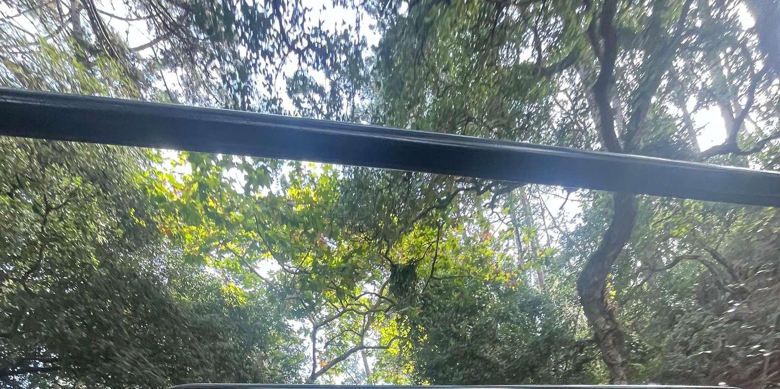 Guest photo from review