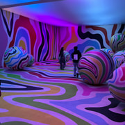 Chicago: Balloon Museum - EmotionAir - Entry Tickets