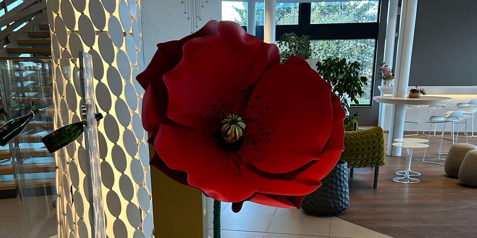 Guest photo from review