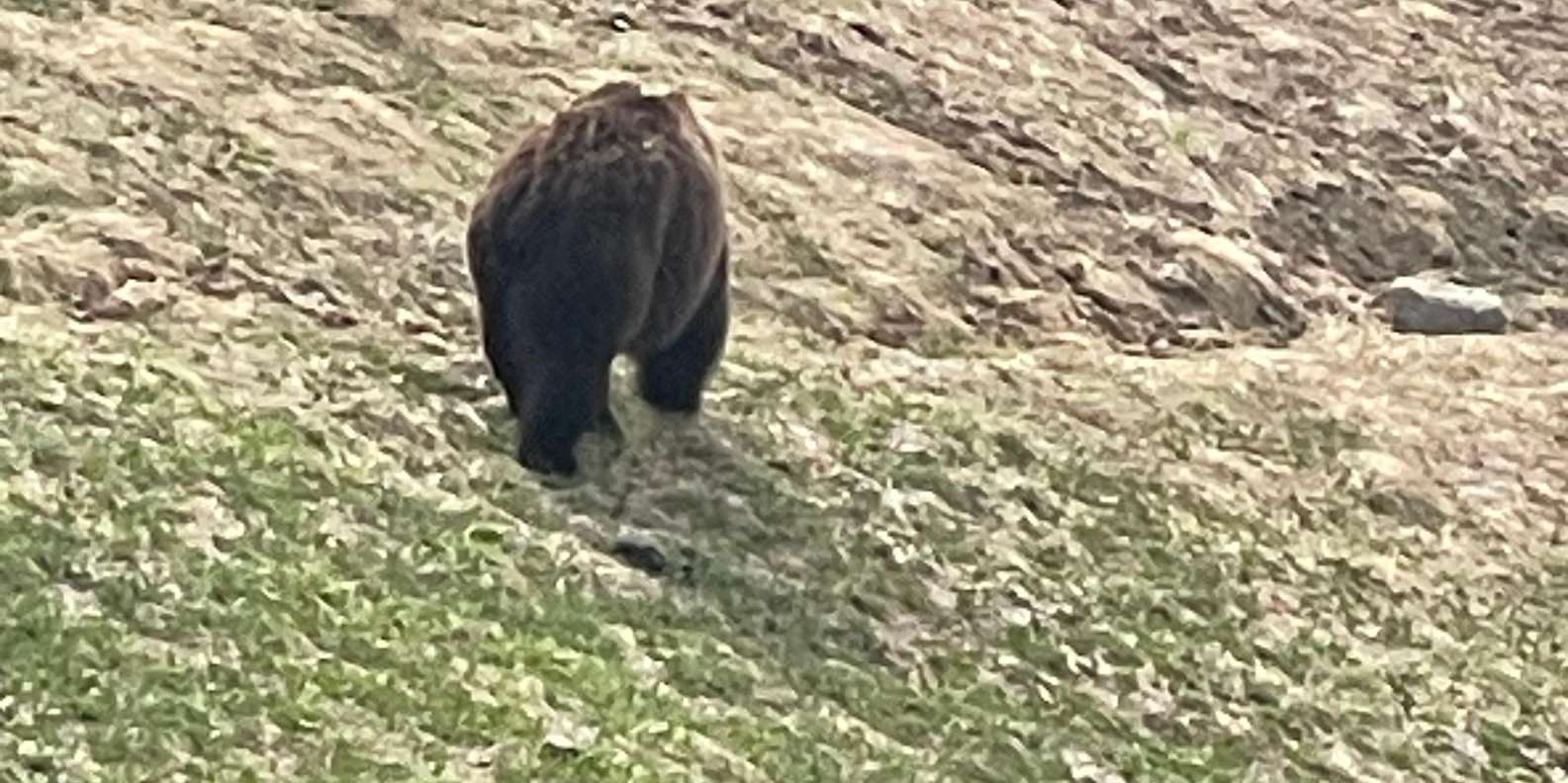 Guest photo from review