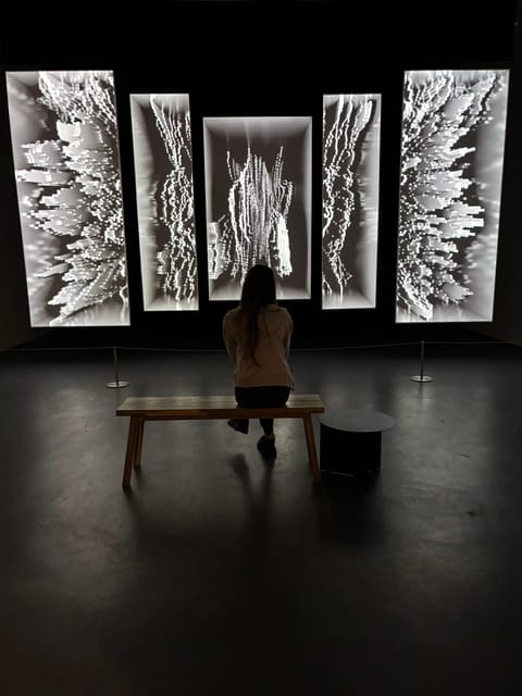 Scottsdale: Wonderspaces Arizona General Admission Ticket