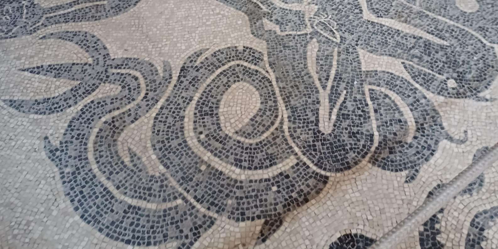 Guest photo from review