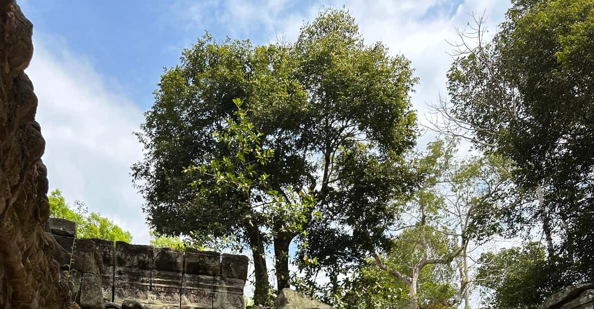 Colagem de mídia
