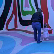 Chicago: Balloon Museum - EmotionAir - Entry Tickets