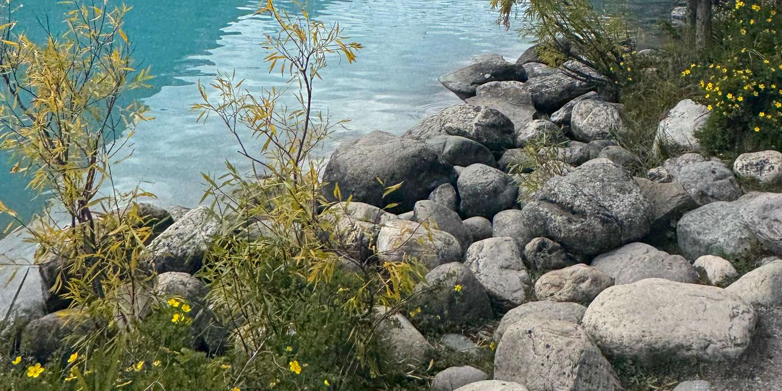 Guest photo from review
