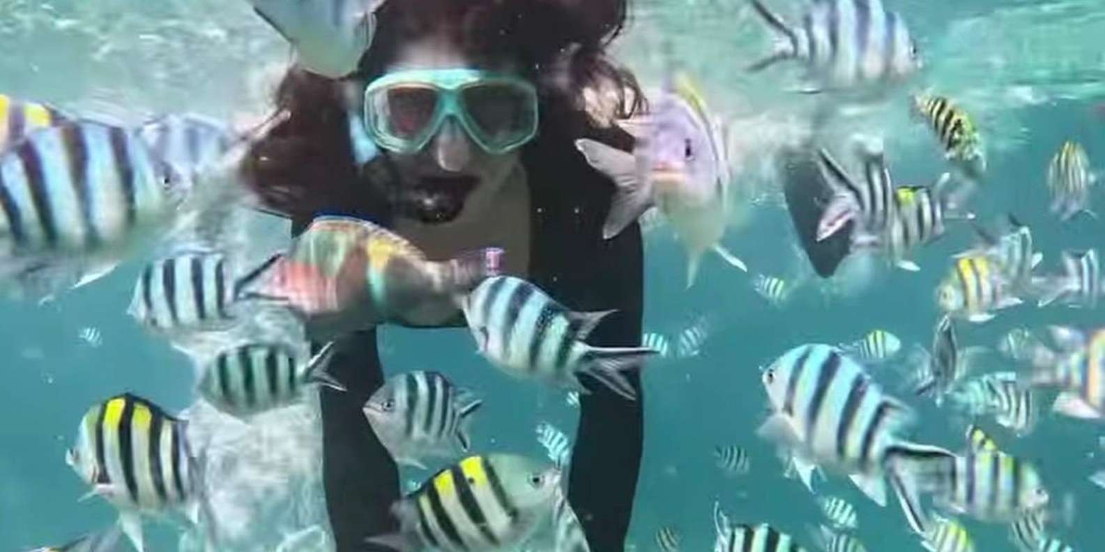 Guest photo from review