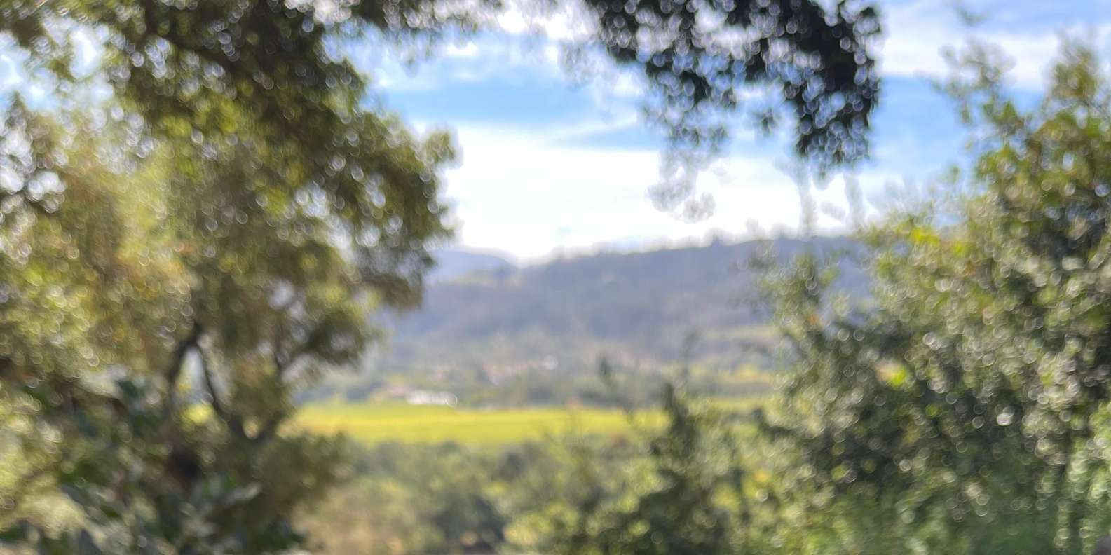 Guest photo from review