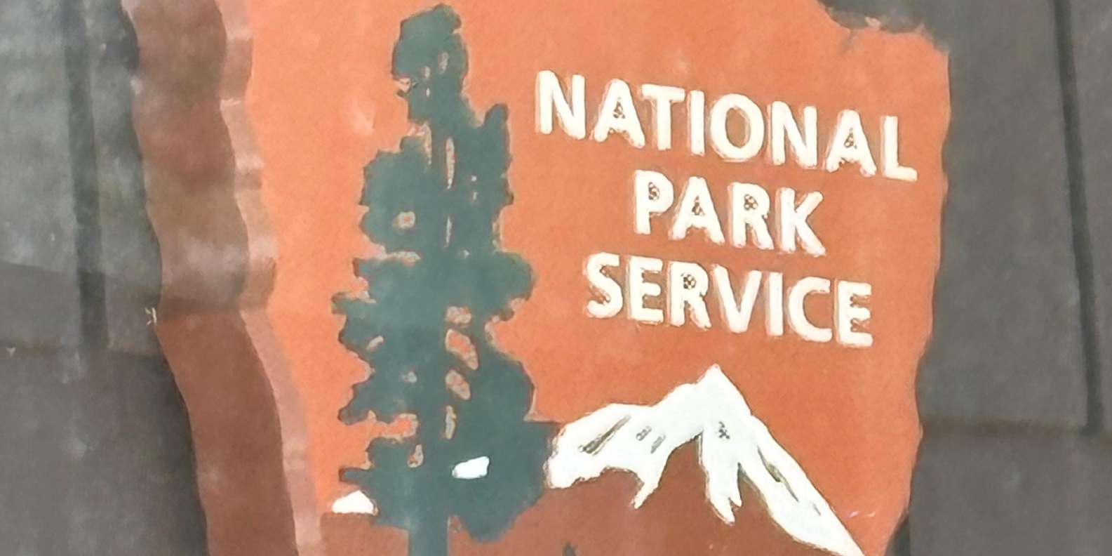 Guest photo from review