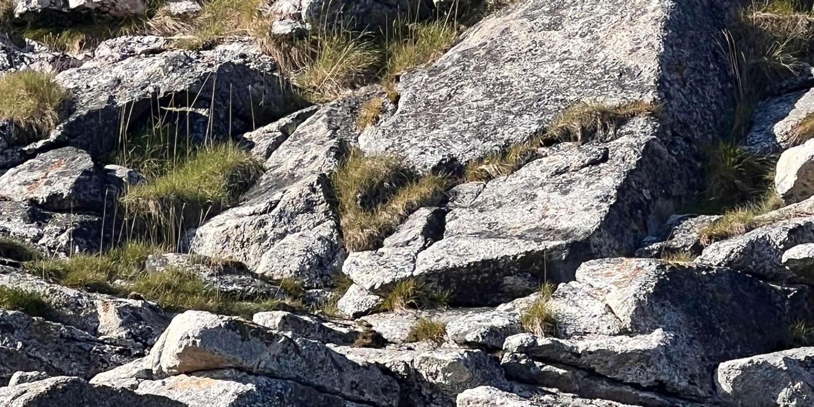 Guest photo from review