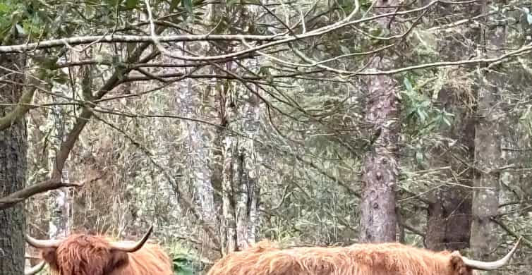 メディア コラージュ