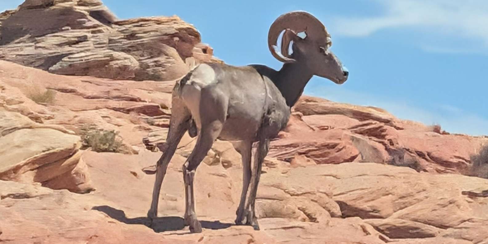 Guest photo from review