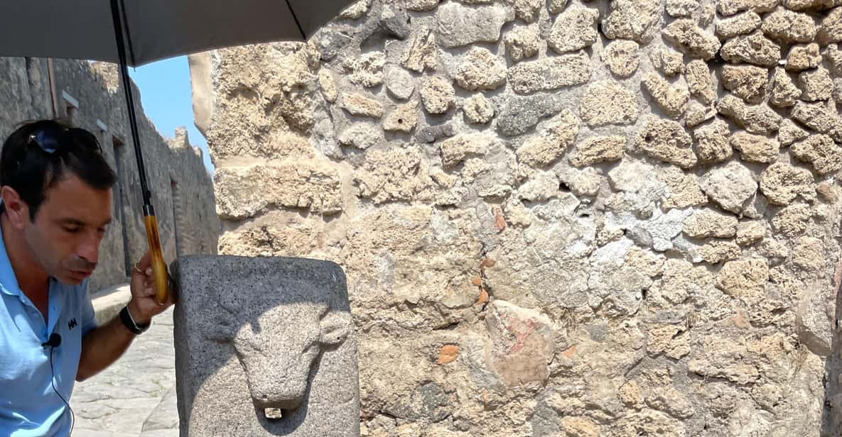 Galería de fotos para redes