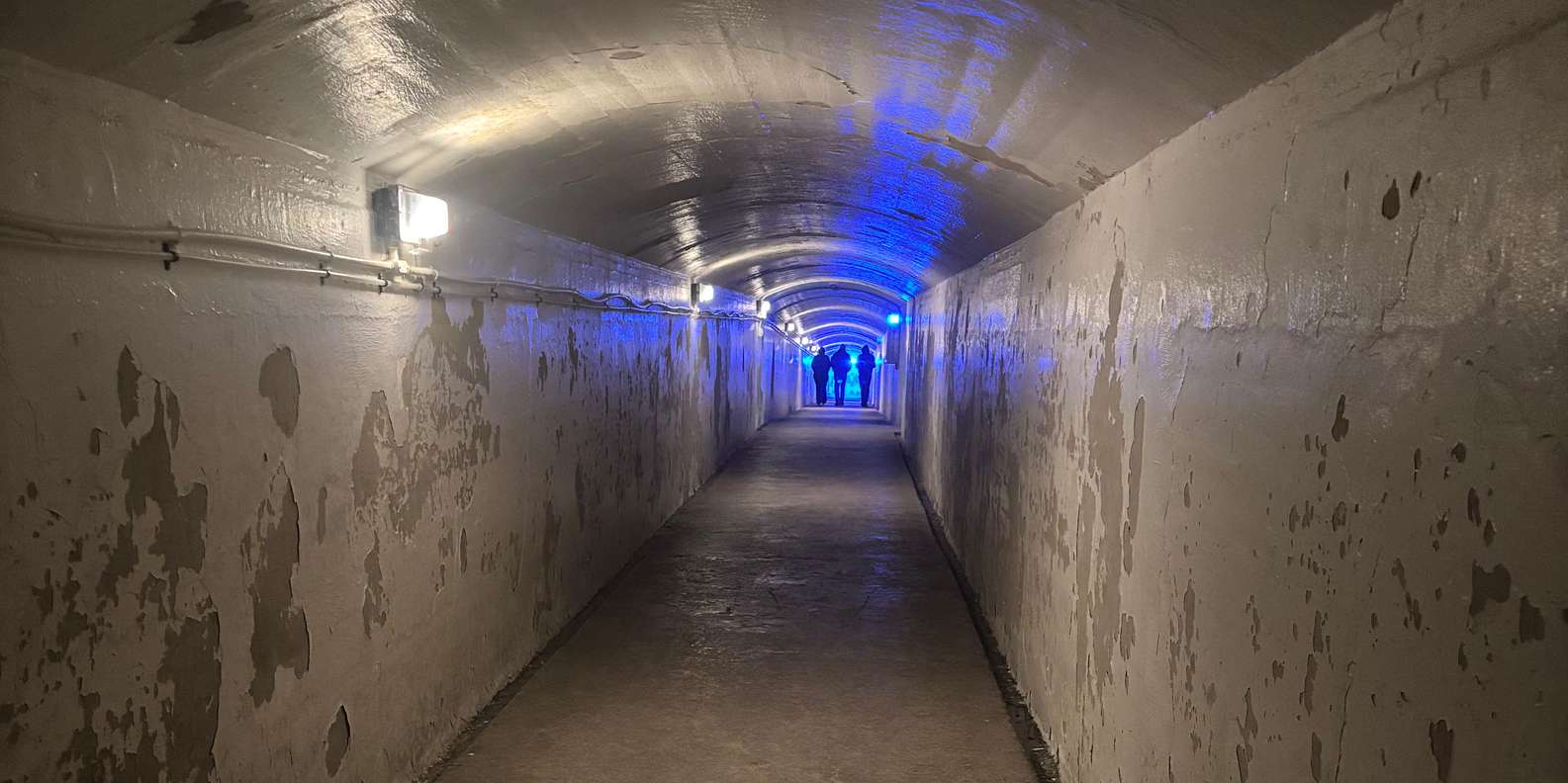 Guest photo from review
