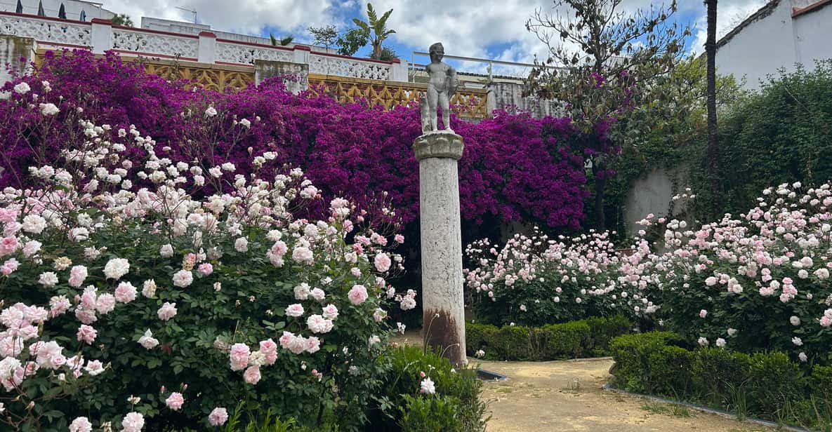 Galería de fotos para redes