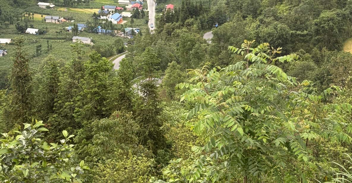 3D2N Ha Giang Loop – Easy Rider vanuit Hanoi met Mr. Hung | GetYourGuide