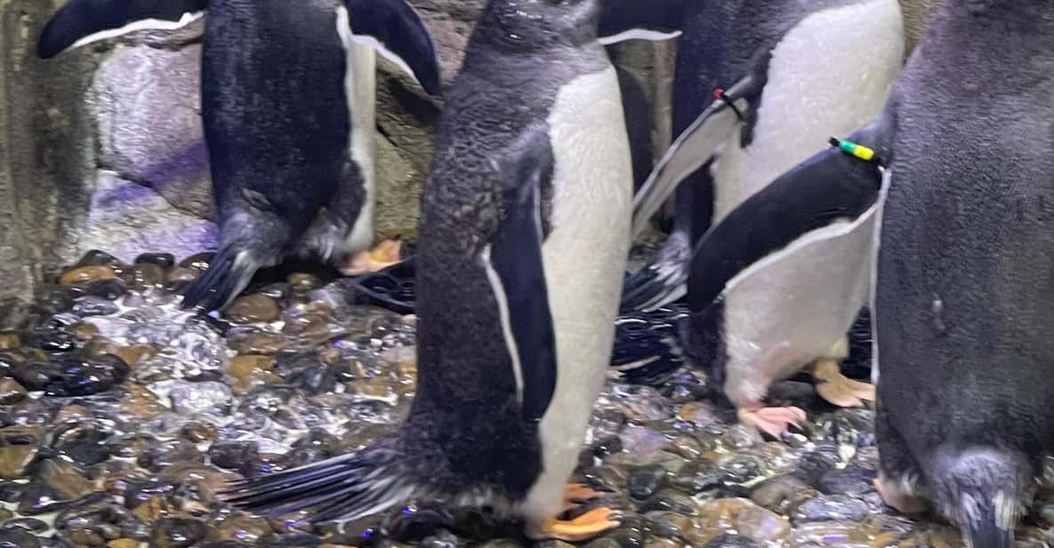 メディア コラージュ