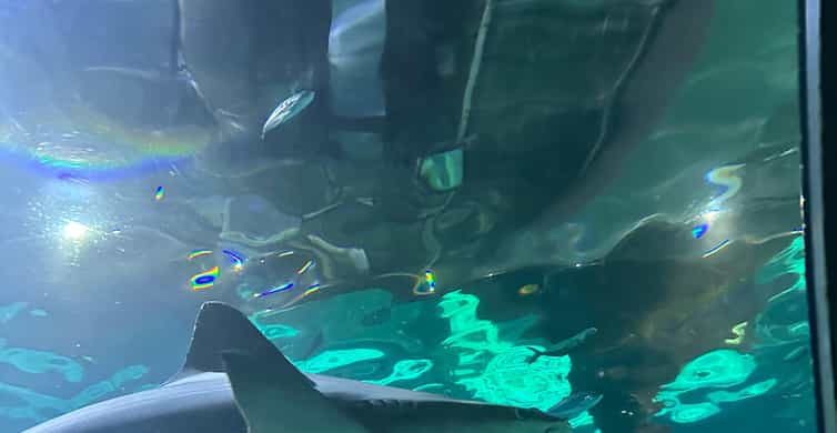 メディア コラージュ