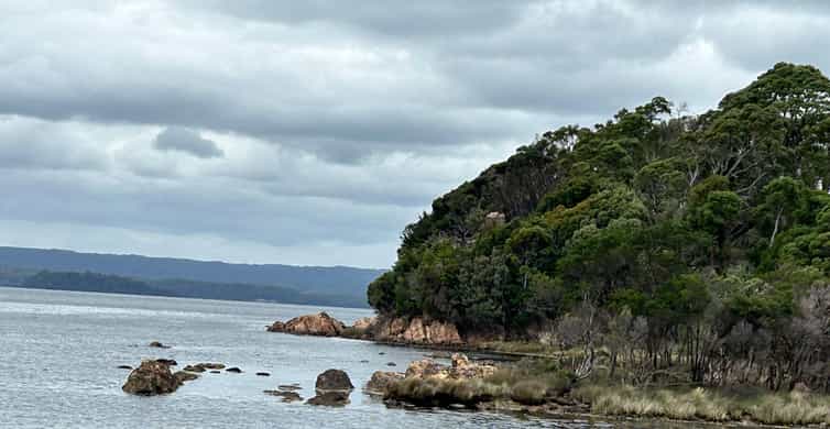 Colagem de mídia