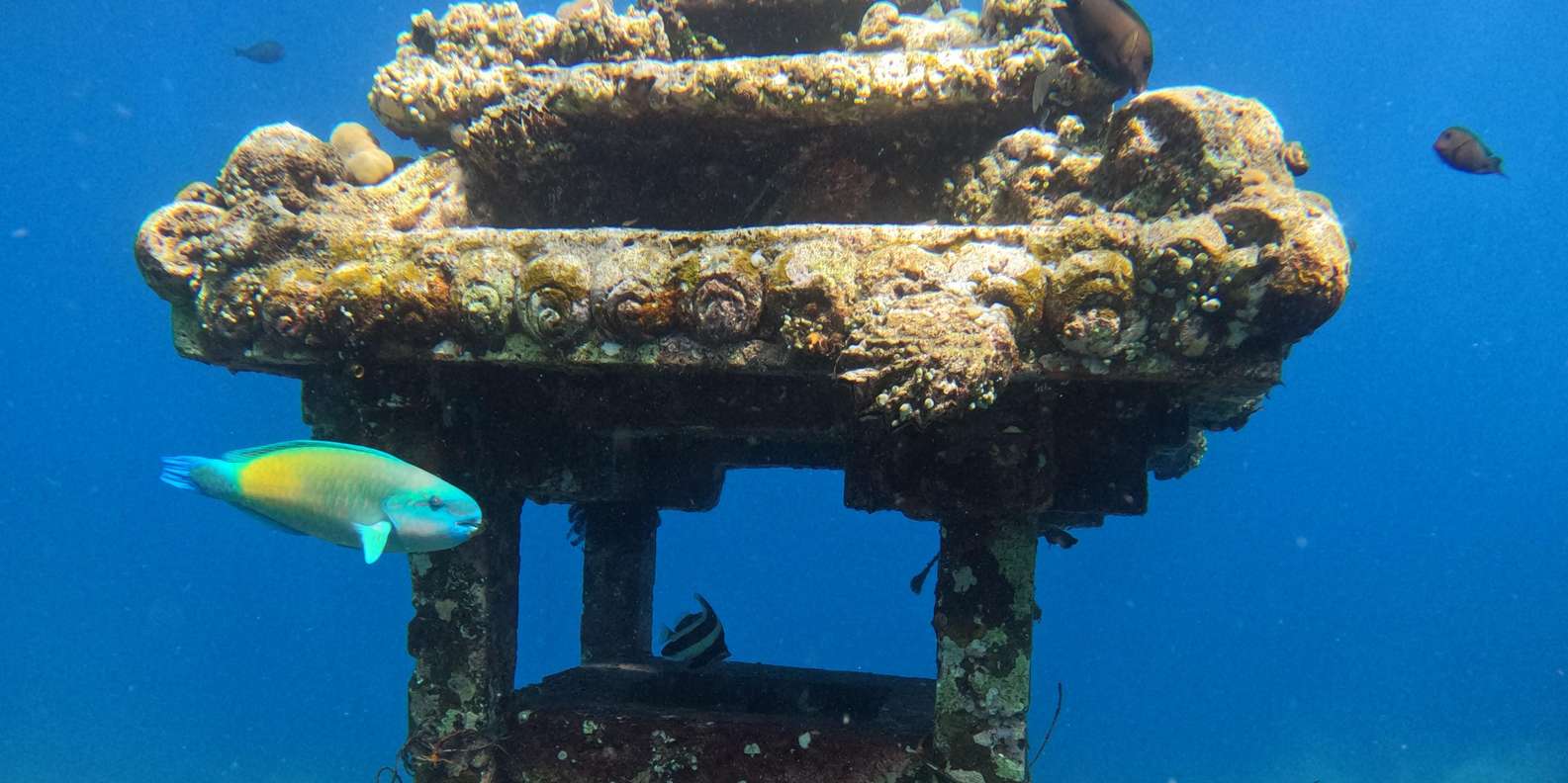 Guest photo from review