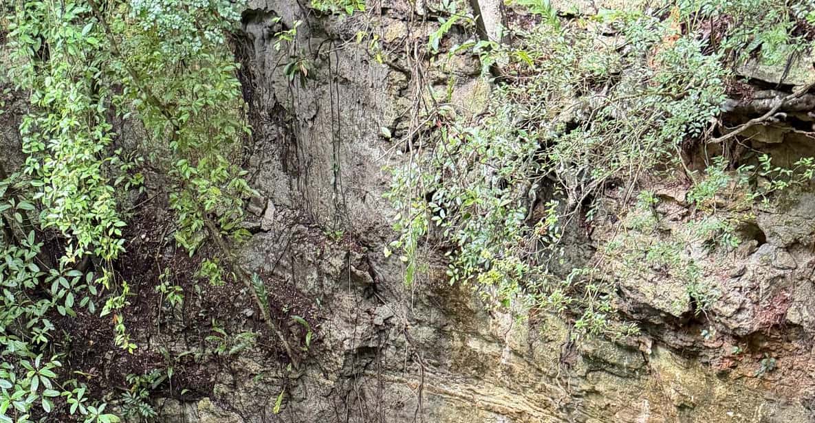 Merida Xrnotes From Valladolid: Chichen Itza & 2 Cenotes Sightseeing Tour - 2026 ...