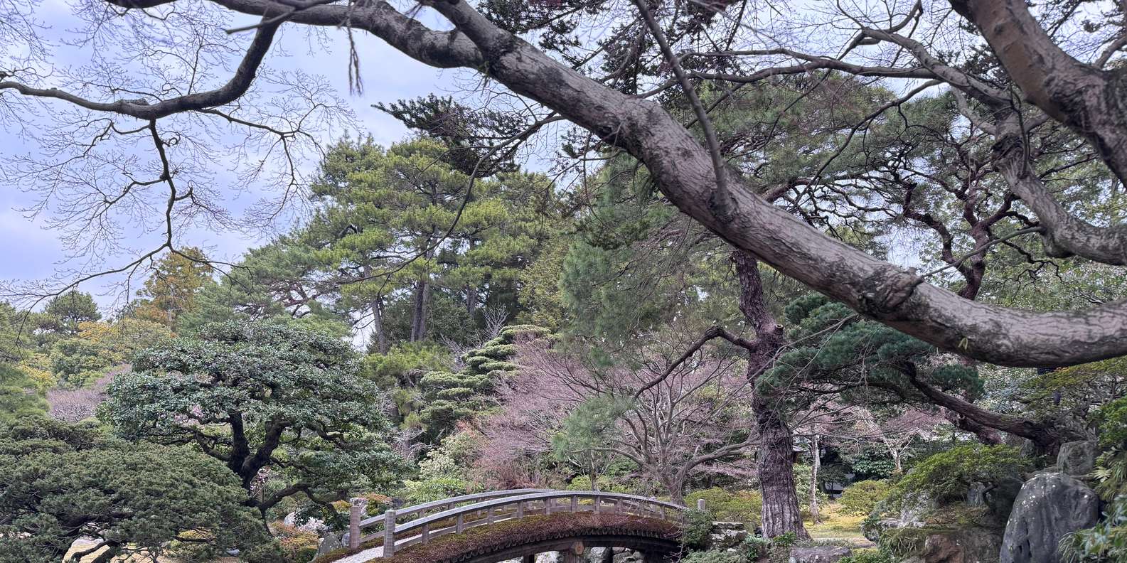 Guest photo from review