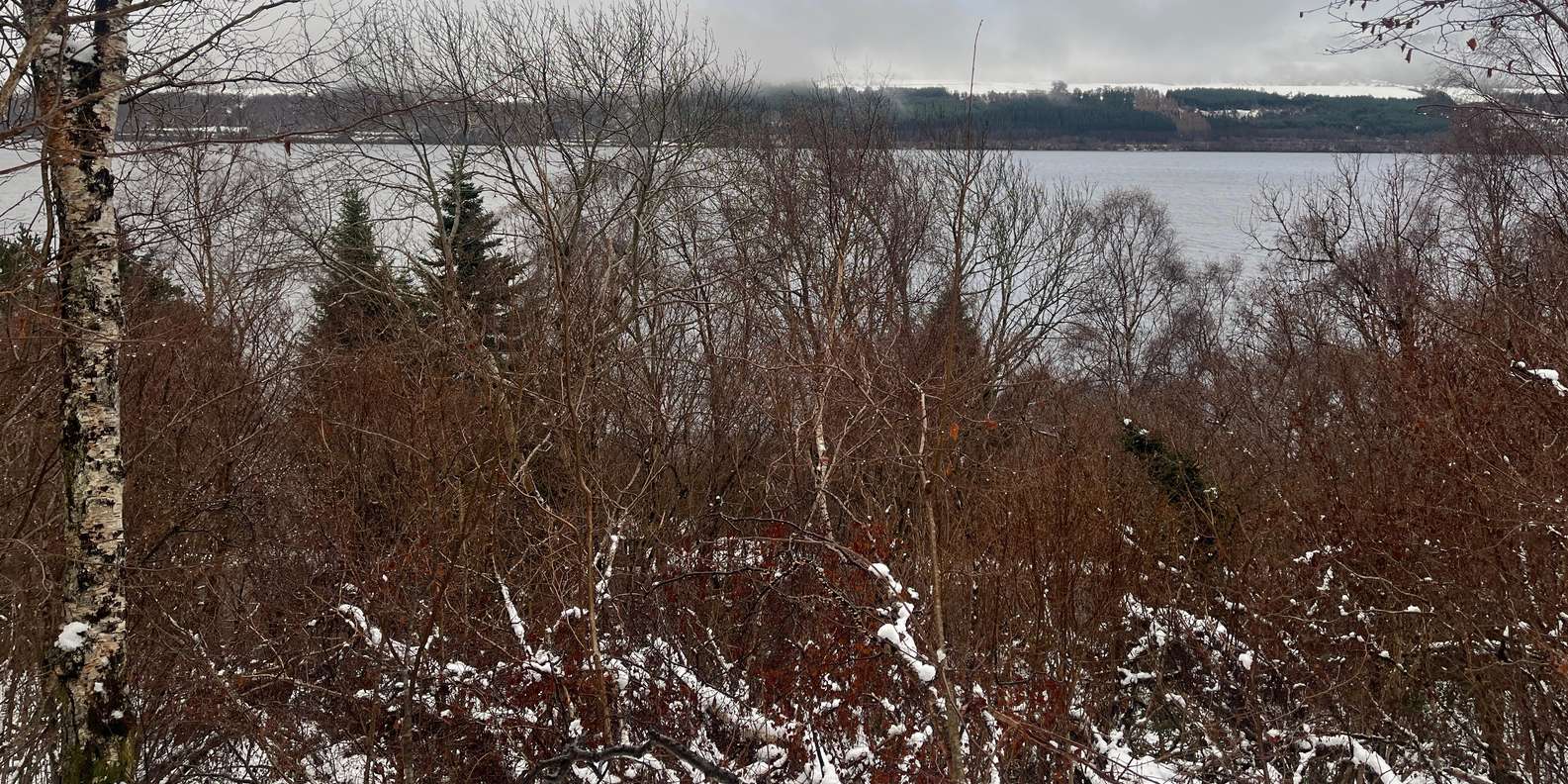 Guest photo from review